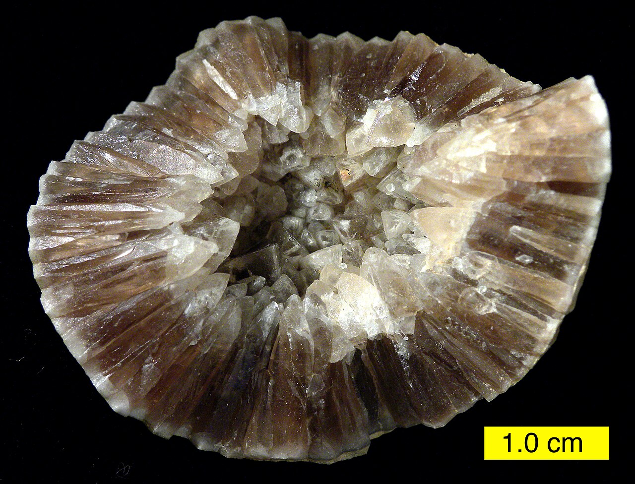 Fossil shell with calcite crystals.