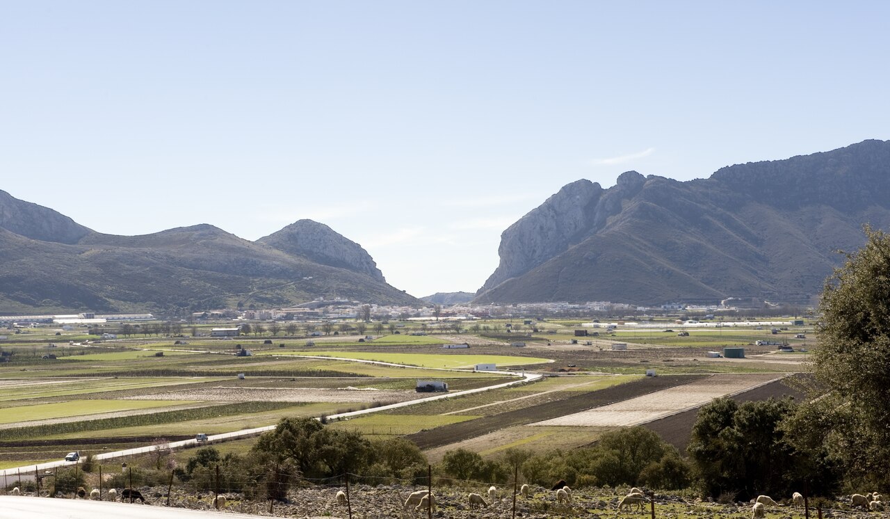 IAPH-Paisaje del Paso de Zafarraya-70 0004490