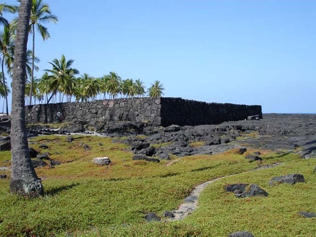 A rock wall on a coastal lava bench