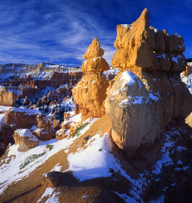 Towering orange hoodoos and spires in a Bryce Canyon amphitheater under a blue sky