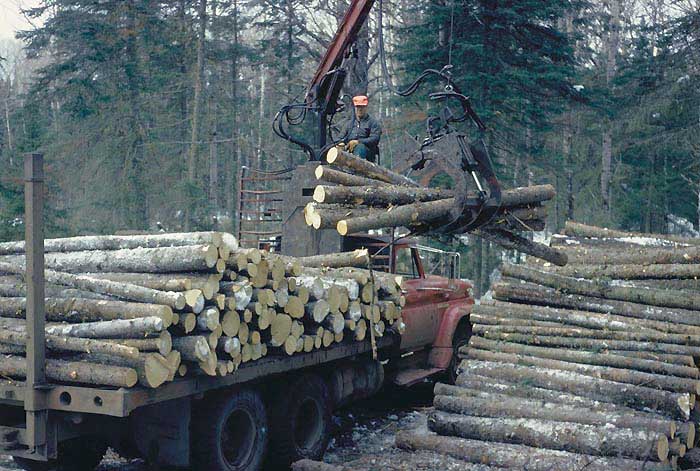 Logs are loaded onto a truck for transporting to a milling plant. Some forestry practices, such as clearcutting and the use of “skid trails” can expose soil and contribute to erosion.