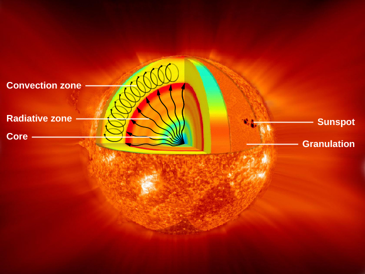 A cutaway illustration of the Sun showing the core, radiative zone and convection zone