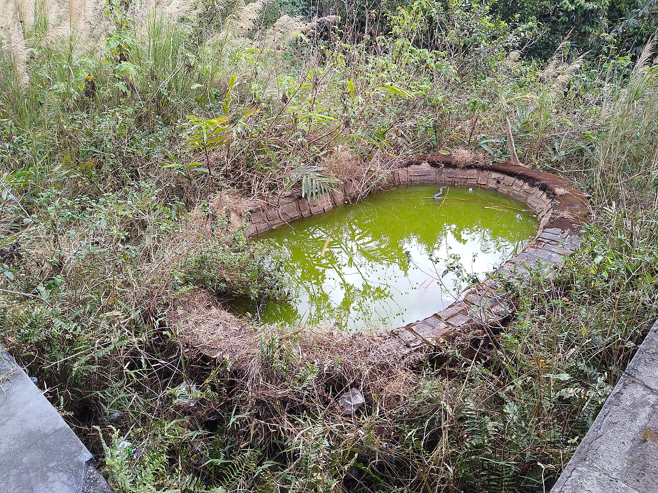 রাজা সিহানুকের সাঁতার কাটার পূকুর (ধ্বংসাবশেষ)