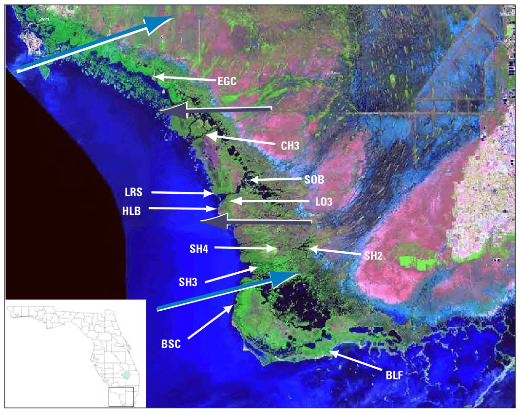 The southwest Florida coast is shown in this satellite mosaic from 1994. The approximate positions of the northern and southern eyewalls of Hurricane Andrew (1992) (purple arrows)