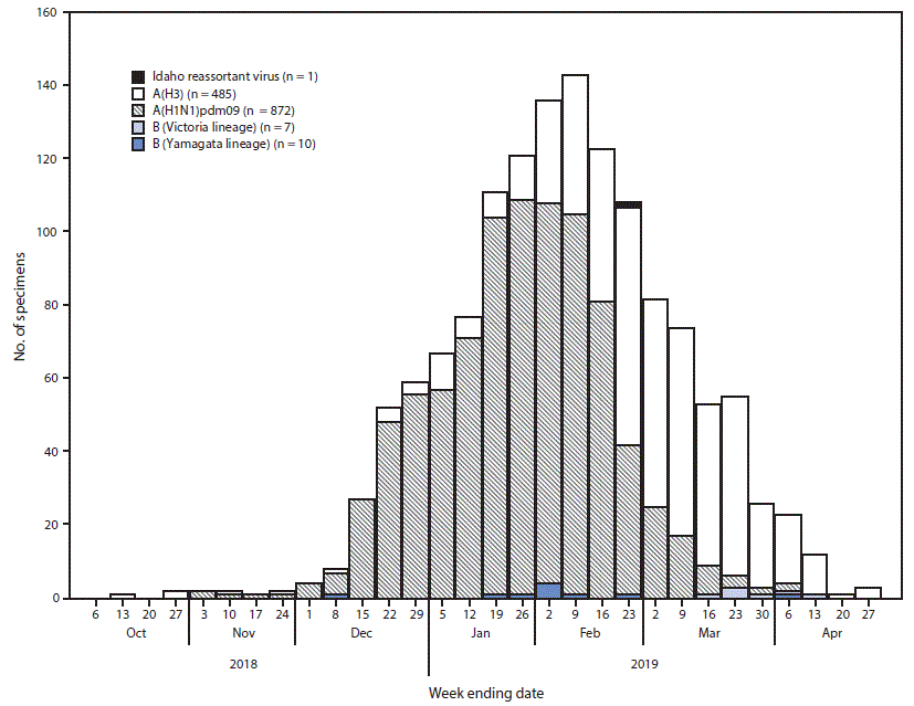 Chart of influenza viruses circulating in Idaho during the 2018–19 season.
