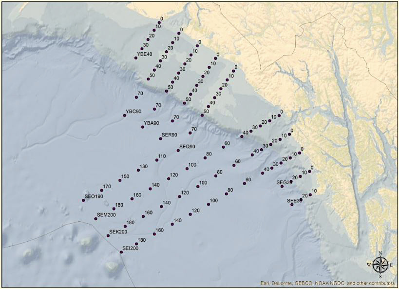 Gulf of Alaska Assessment survey planned stations, same stations that were sampled during 2016, including the offshore age-0 sablefish sampling grid.