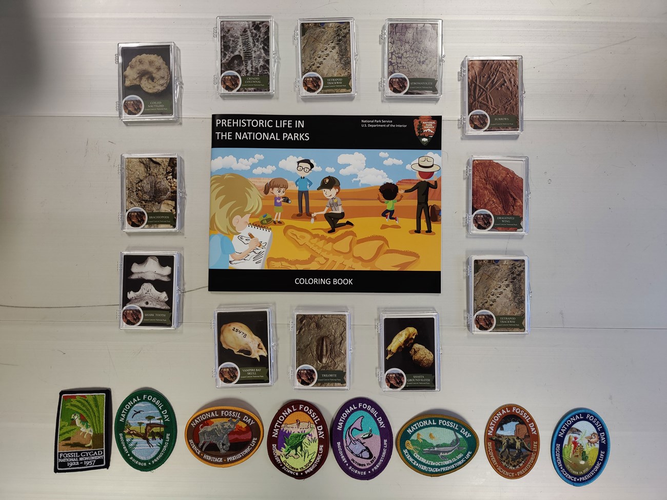 A book, trading cards and patches from National Fossil Day.