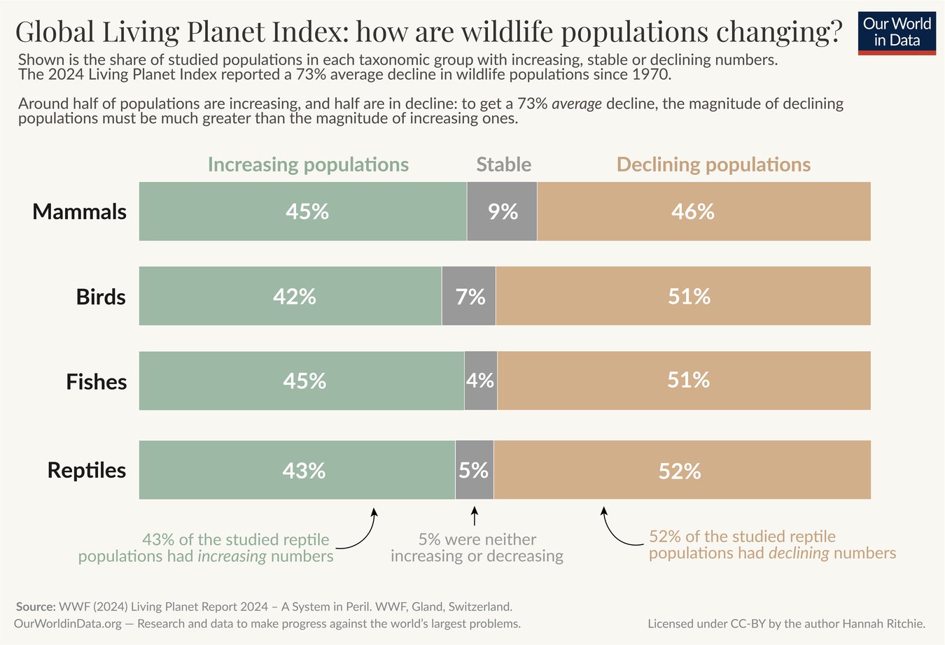 This chart, titled "Global Living Planet Index: how are wildlife populations changing?" shows trends in wildlife populations for mammals, birds, fishes, and reptiles based on data from the 2024 Living Planet Index. It reports an average 73% decline in wildlife populations since 1970. Each taxonomic group is split into three categories: "Increasing populations," "Stable," and "Declining populations." Mammals: 45% increasing, 9% stable, 46% declining. Birds: 42% increasing, 7% stable, 51% declining. Fishes: 45% increasing, 4% stable, 51% declining. Reptiles: 43% increasing, 5% stable, 52% declining. The chart emphasizes that despite some populations growing, the overall trend is driven by a greater percentage of species experiencing declines, especially in reptiles and birds.