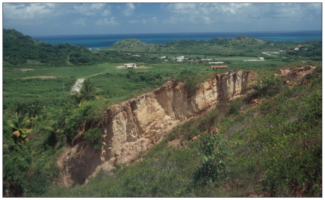 Eocene turbidites of the Scotland District, Barbados.