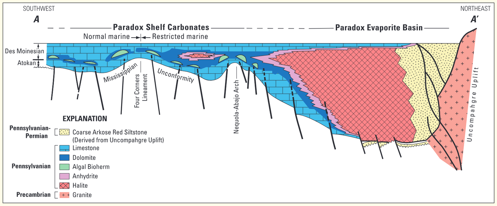 Northeast to southwest cross-section of the Paradox Basin (modified from Goldhammer and others, 1991).