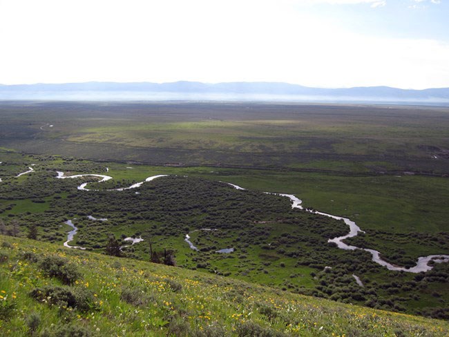 A wide green valley with a winding creek, seen from a hillside
