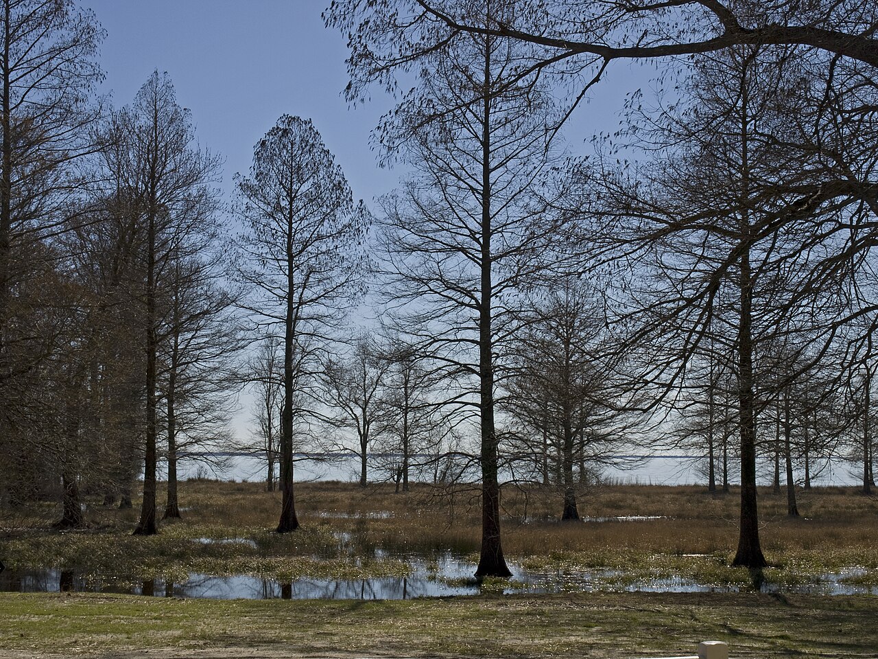 Lake Phelps from Somerset