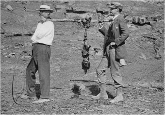 Who is Frank Alvord Perret, and what is his connection to Hawaiian ...