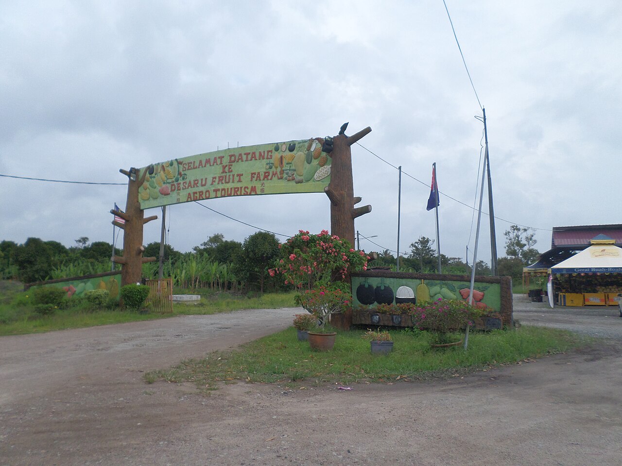 দেসারু ফলের খামার