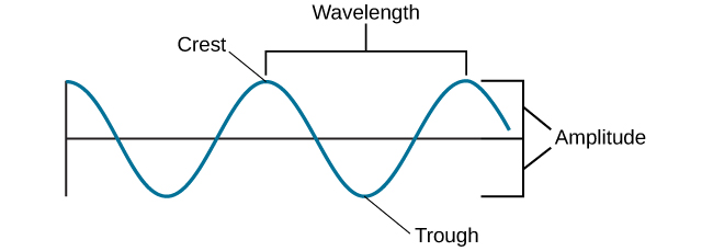 A diagram illustrates the basic parts of a wave. Moving from left to right, the wavelength line begins above a straight horizontal line and falls and rises equally above and below that line. One of the areas where the wavelength line reaches its highest point is labeled “Peak.” A horizontal bracket, labeled “Wavelength,” extends from this area to the next peak. One of the areas where the wavelength reaches its lowest point is labeled “Trough.” A vertical bracket, labeled “Amplitude,” extends from a “Peak” to a “Trough.”