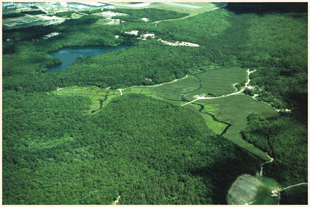 Cranberry bogs in Mashpee, southeastern Massachusetts.