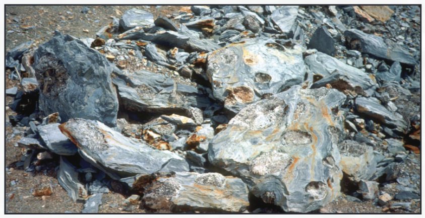 Nahcolite nodules or aggregates from the R-5 oil shale zone (see fig.
