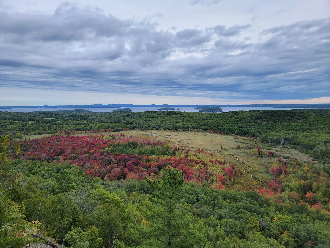 large swatch of meadow with trees with red leaves viewed from high on a mountain