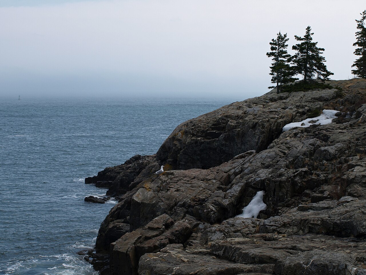 Acadia coast