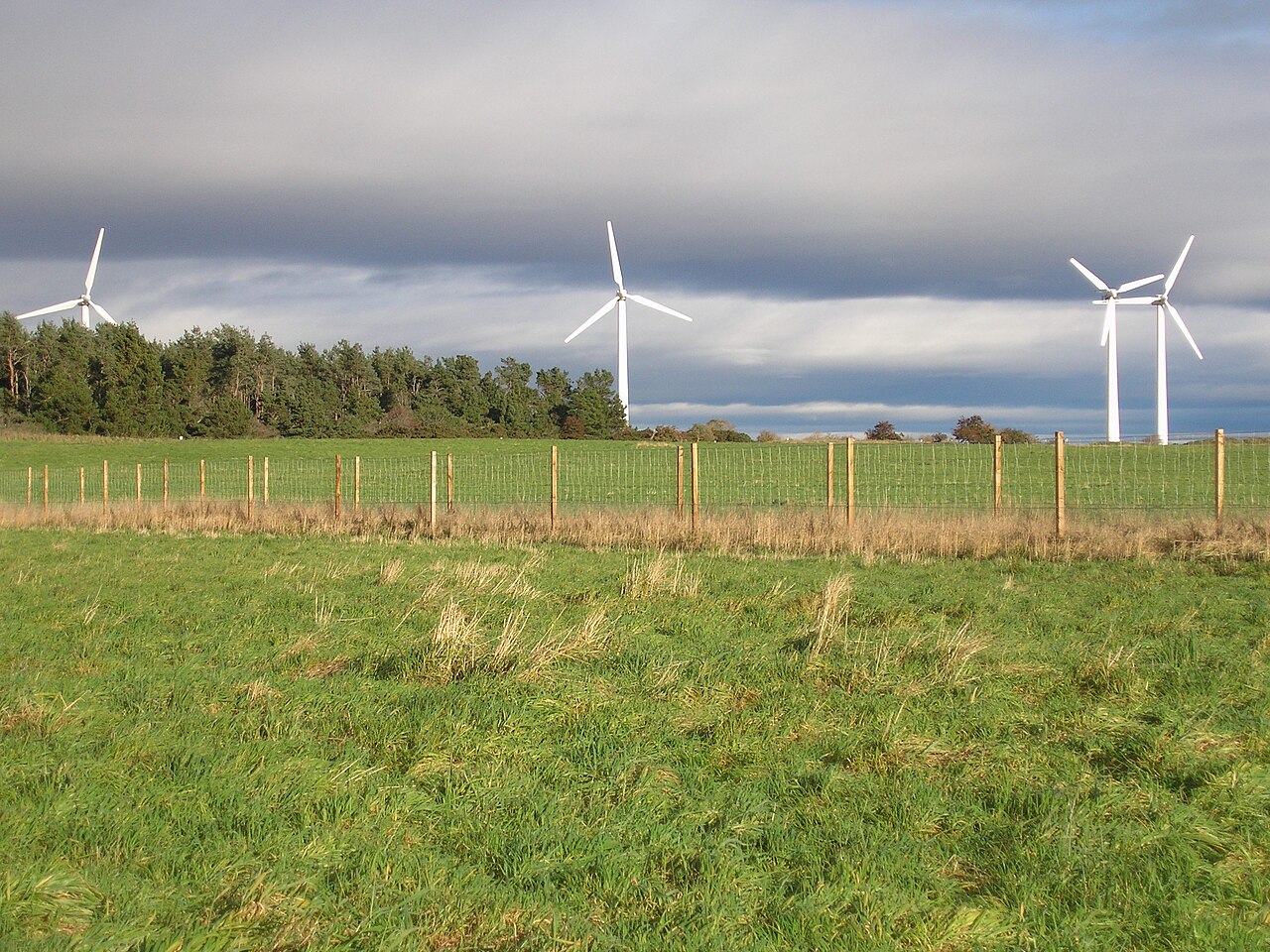 Findhorn wind turbines