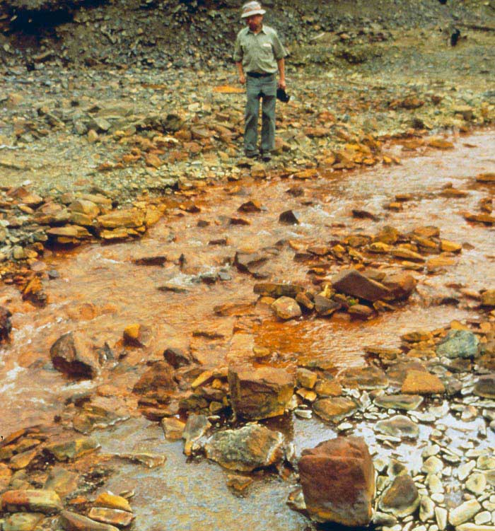 Abandoned mining operations can leach iron and other chemicals such as copper, lead and mercury into nearby waterbodies.