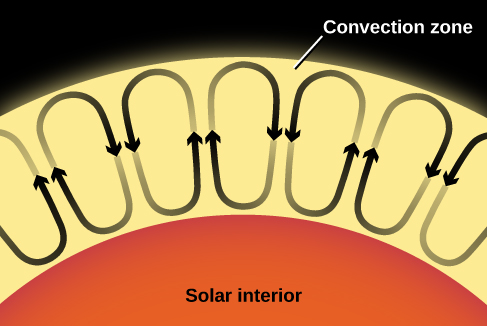 Convection cells shown as ovals with arrows above the solar interior