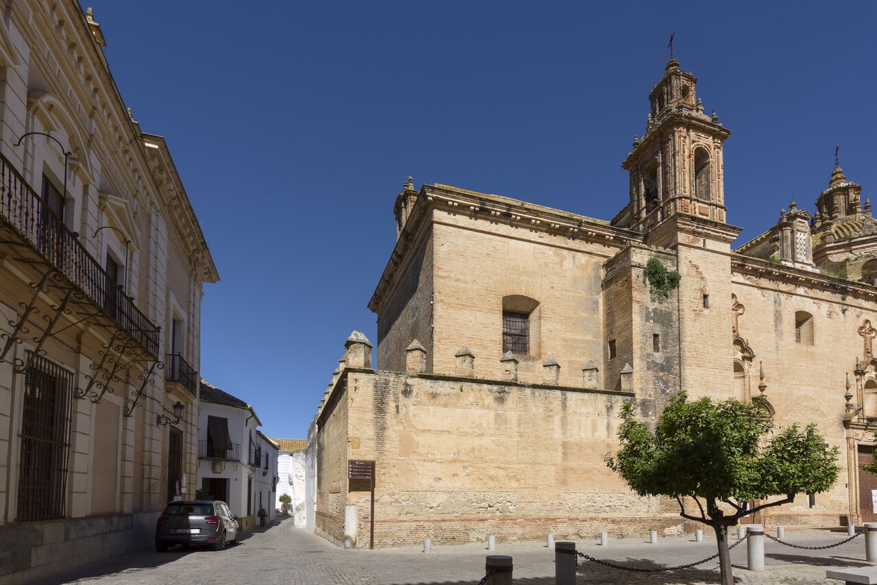IAPH-paisaje agrario de Carmona-70 0167842