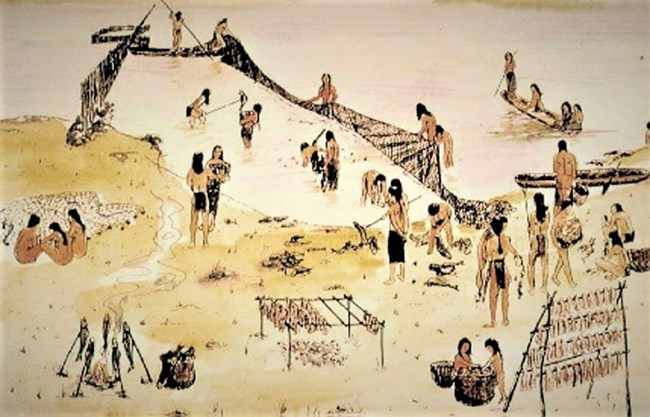 An illustration of a Lenape village fishing with nets and weirs from the shore and canoes