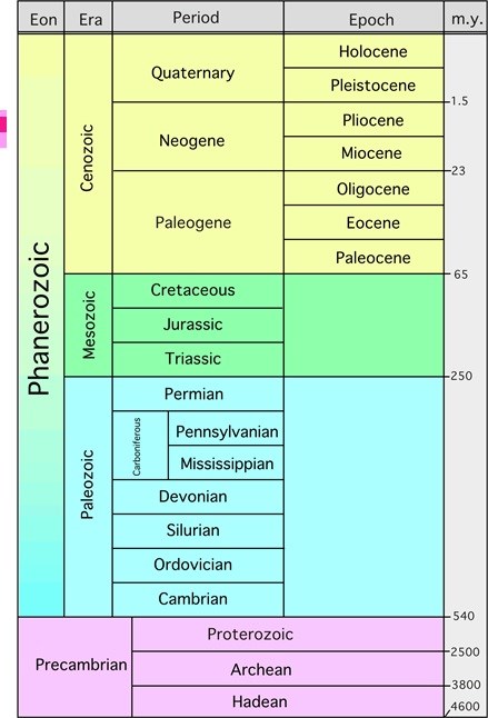 A chart of the geologic time scale.