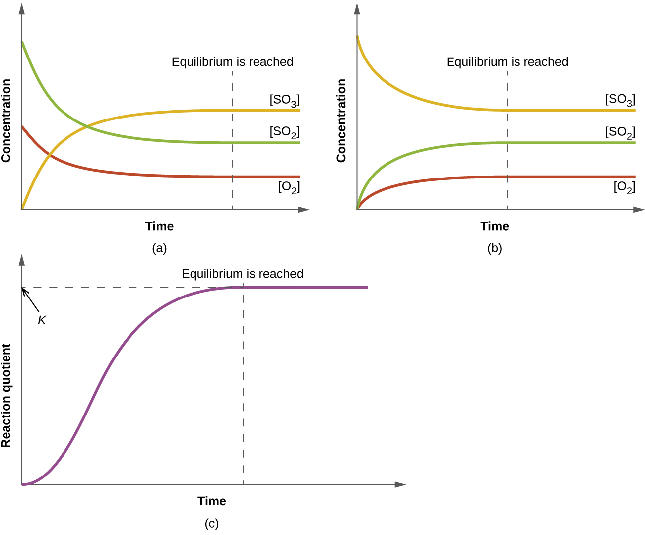Three graphs are shown and labeled, “a,” “b,” and “c.” All three graphs have a vertical dotted line running through the middle labeled, “Equilibrium is reached.” The y-axis on graph a is labeled, “Concentration,” and the x-axis is labeled, “Time.” Three curves are plotted on graph a. The first is labeled, “ S O subscript 2 ;” this line starts high on the y-axis, ends midway down the y-axis, has a steep initial slope and a more gradual slope as it approaches the far right on the x-axis. The second curve on this graph is labeled, “ O subscript 2 ;” this line mimics the first except that it starts and ends about fifty percent lower on the y-axis. The third curve is the inverse of the first in shape and is labeled, “ S O subscript 3 .” The y-axis on graph b is labeled, “Concentration,” and the x-axis is labeled, “Time.” Three curves are plotted on graph b. The first is labeled, “ S O subscript 2 ;” this line starts low on the y-axis, ends midway up the y-axis, has a steep initial slope and a more gradual slope as it approaches the far right on the x-axis. The second curve on this graph is labeled, “ O subscript 2 ;” this line mimics the first except that it ends about fifty percent lower on the y-axis. The third curve is the inverse of the first in shape and is labeled, “ S O subscript 3 .” The y-axis on graph c is labeled, “Reaction Quotient,” and the x-axis is labeled, “Time.” A single curve is plotted on graph c. This curve begins at the bottom of the y-axis and rises steeply up near the top of the y-axis, then levels off into a horizontal line. The top point of this line is labeled, “k.”