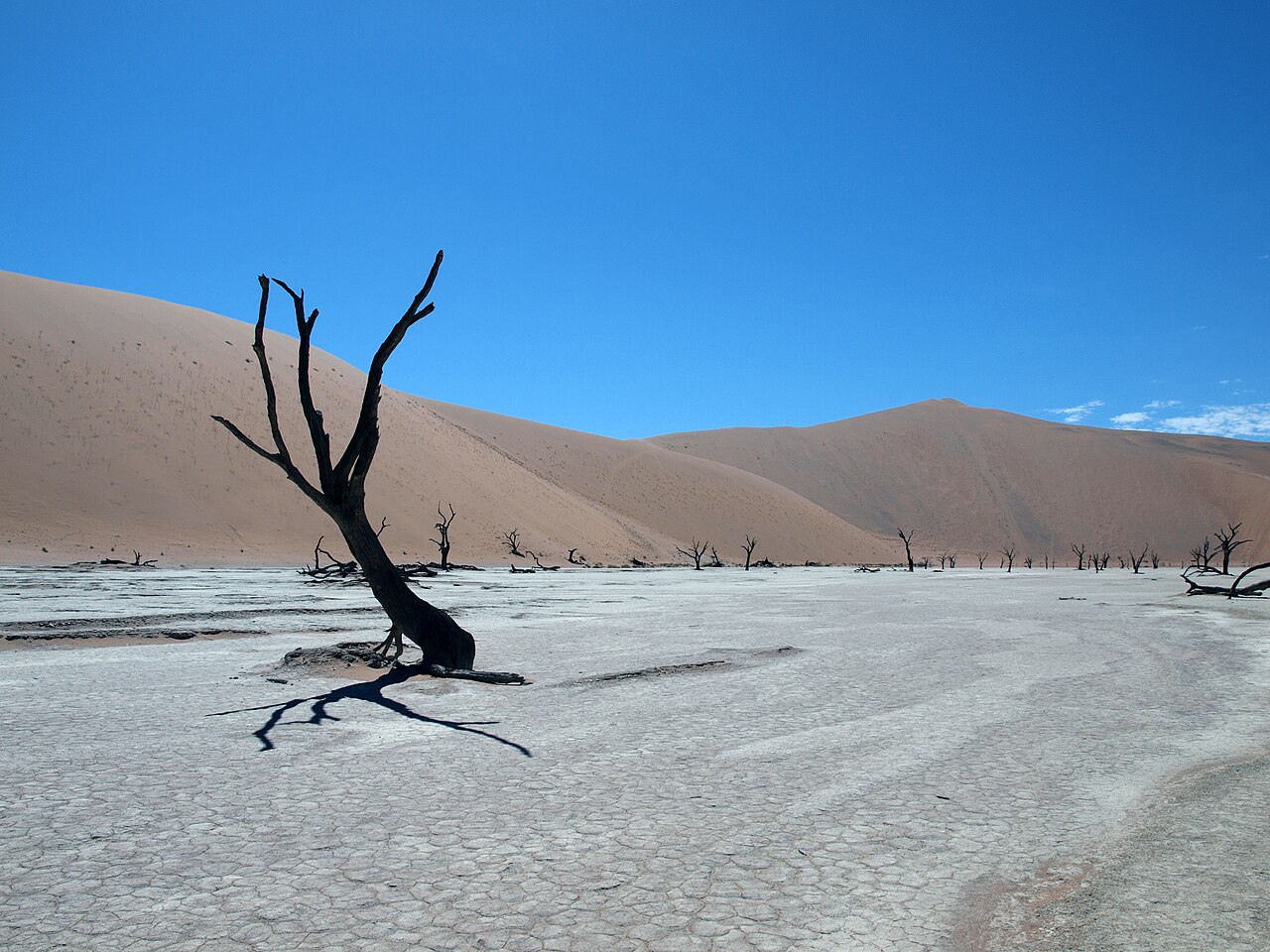 Deadvlei - Мертвая долина.