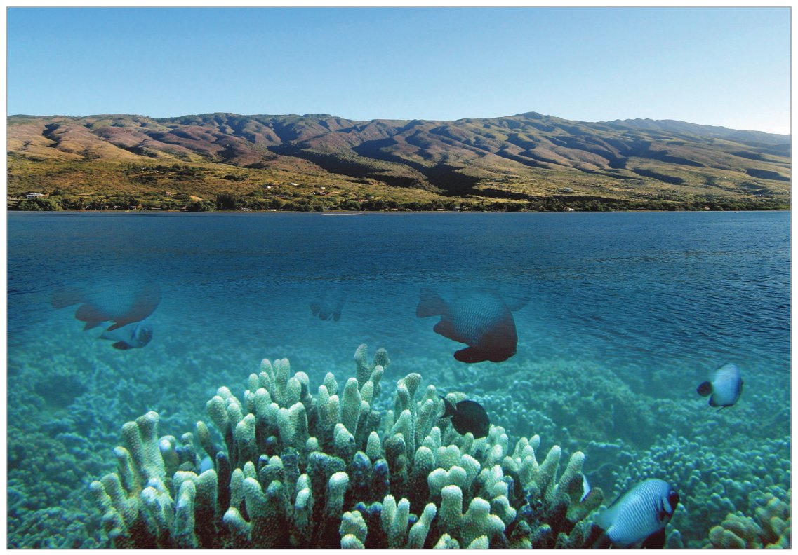 This image shows the close link between onshore watersheds and nearshore coral reef ecosystems.