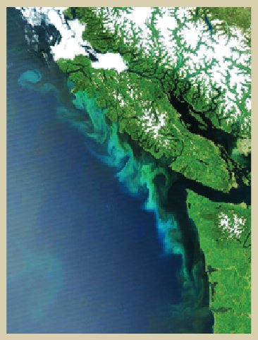 Phytoplankton bloom (water that looks turquoise) near the coast of Vancouver Island, British Columbia, Canada.