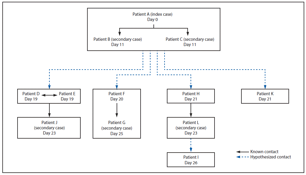 Chart of primary and secondary cases by day of the outbreak