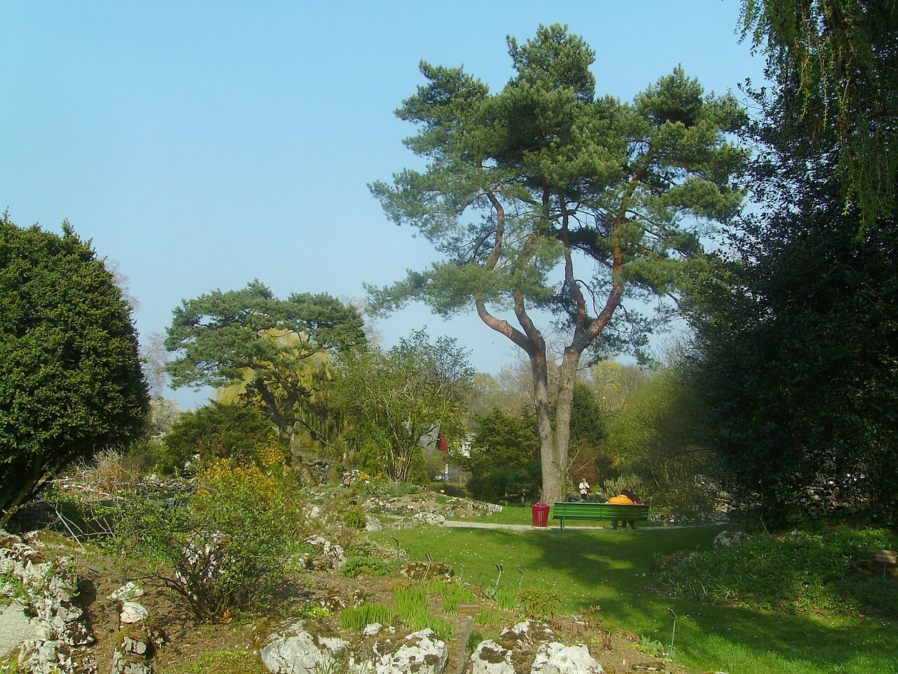 জার্দিন বোতানিক
