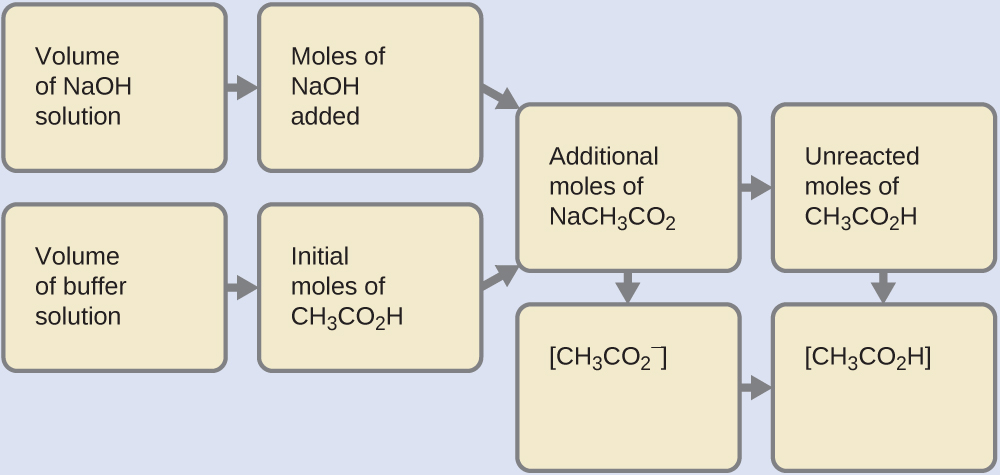 Eight tan rectangles are shown in four columns of two rectangles each that are connected with right pointing arrows. The first rectangle in the upper left is labeled “Volume of N a O H solution.” An arrow points right to a second rectangle labeled “Moles of N a O H added.” A second arrow points right to a third rectangle labeled “Additional moles of N a C H subscript 3 C O subscript 2.” Just beneath the first rectangle in the upper left is a rectangle labeled “Volume of buffer solution.” An arrow points right to another rectangle labeled “Initial moles of C H subscript 3 C O subscript 2 H.” This rectangle points to the same third rectangle, which is labeled “ Additional moles of N a C H subscript 3 C O subscript 2.” An arrow points right to a rectangle labeled “ Unreacted moles of C H subscript 3 C O subscript 2 H.” An arrow points from this rectangle to a rectangle below labeled “ C H subscript 3 C O subscript 2 H .” An arrow extends below the “Additional moles of N a C H subscript 3 C O subscript 2” rectangle to a rectangle labeled “ C H subscript 3 C O subscript 2 .” This rectangle points right to the rectangle labeled “ C H subscript 3 C O subscript 2 H .”