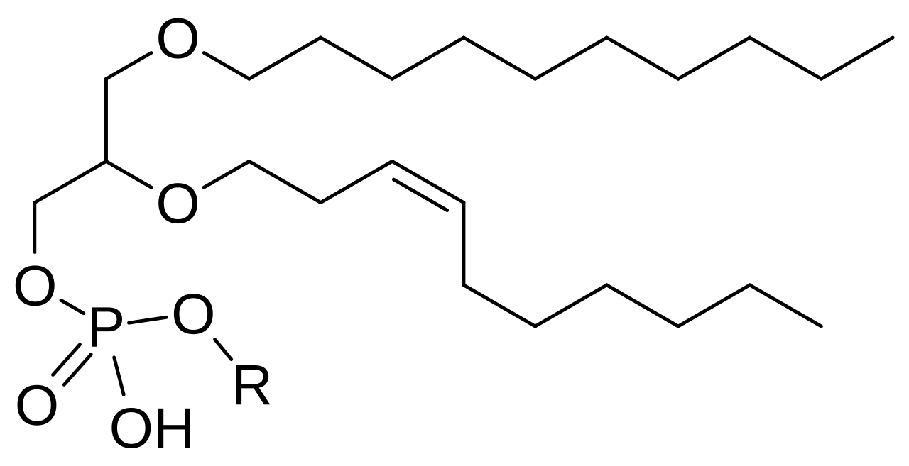 An ether lipid.