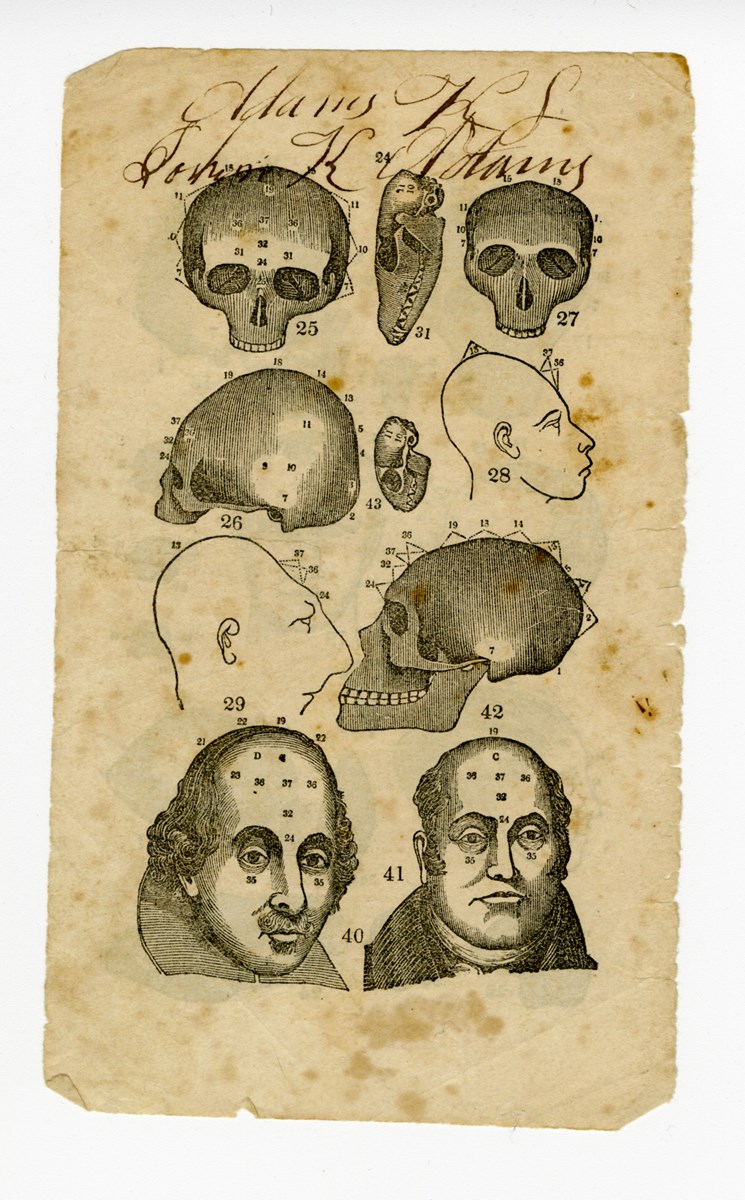 A phrenology chart of a human head divided into labeled regions