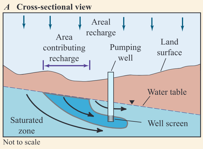 The area at the water table contributing recharge to the pumped well can be delineated in (A) cross-sectional view and in (B) map view (modified from Reilly and Pollock, 1993). The
