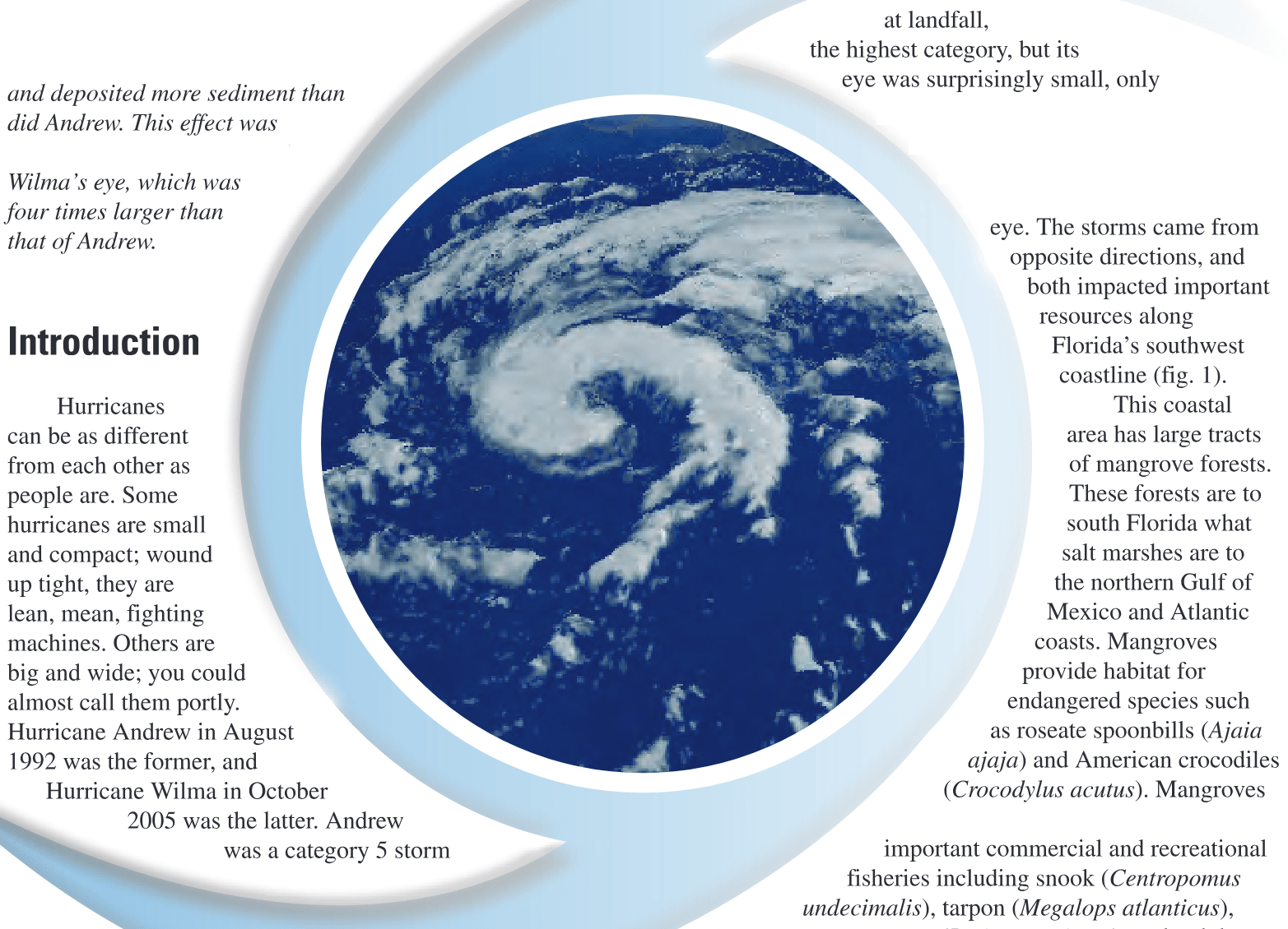 A tale of two storms: Surges and sediment deposition from Hurricanes Andrew and Wilma in Florida’s southwest coast mangr