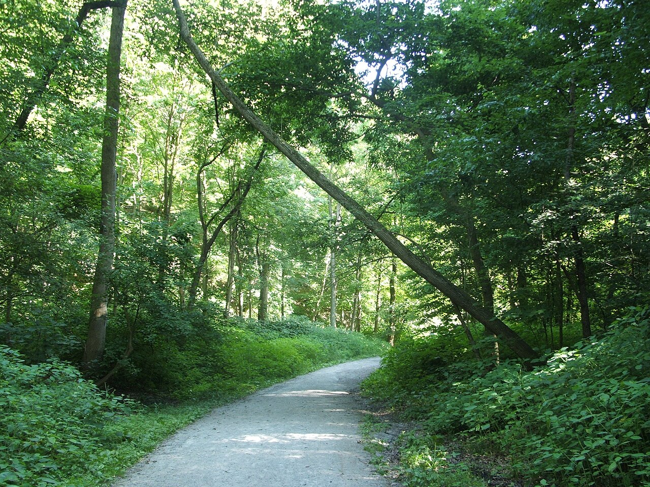ফ্রিক পার্ক