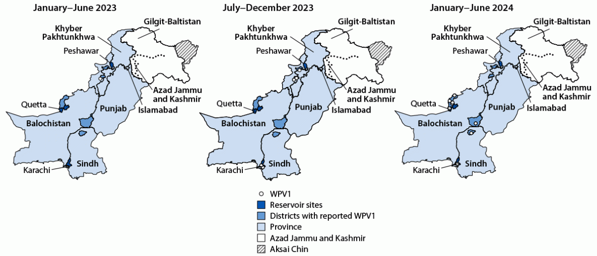 Maps of wild poliovirus type 1 cases by province and period in Pakistan, January 2023–June 2024