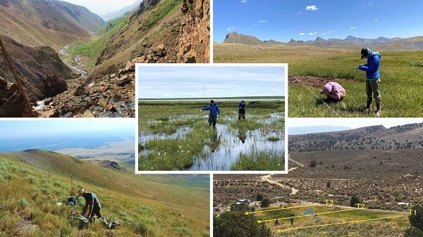 Five photo collage: To left: stream, Top right: Two people working in the field, Center: two people working in a stream, bottom left: a person working in the field, bottom right: picture of the field