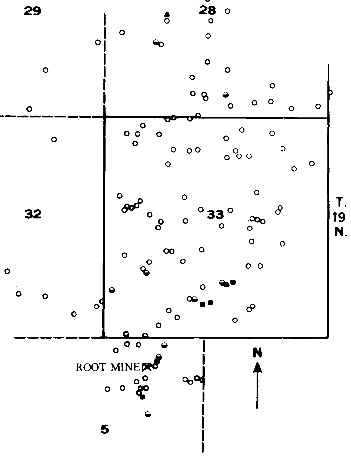 Preliminary results of geological, geochemical, and geophysical studies in part of the Virginia City quadrangle, Nevada