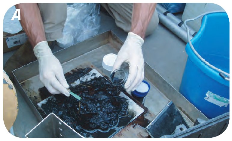 Effects of Hurricanes Katrina and Rita on the chemistry of bottom sediments in Lake Pontchartrain, La.