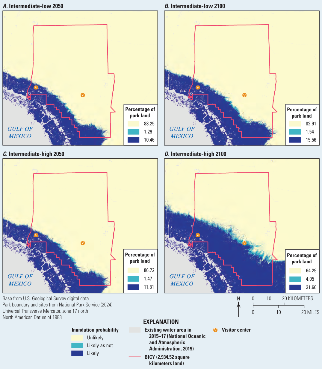 Four maps of Big Cypress showing inundation probability under intermediate-low and intermediate-high sea-level rise in 2050 and 2100