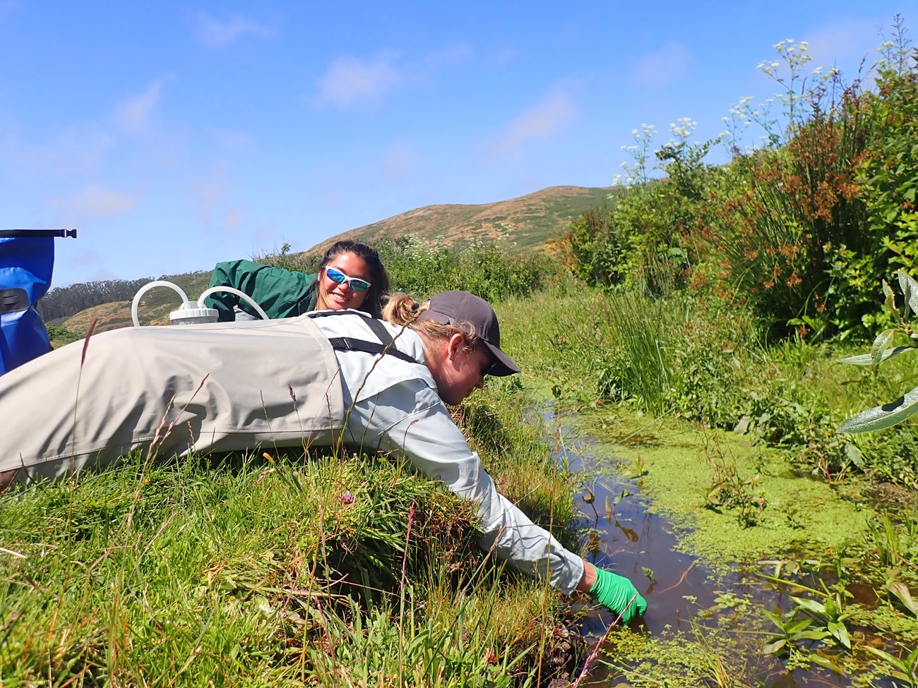 Two interns lying beside a sunny stream; one, in rubber gloves, reaches down to collect a water sample.