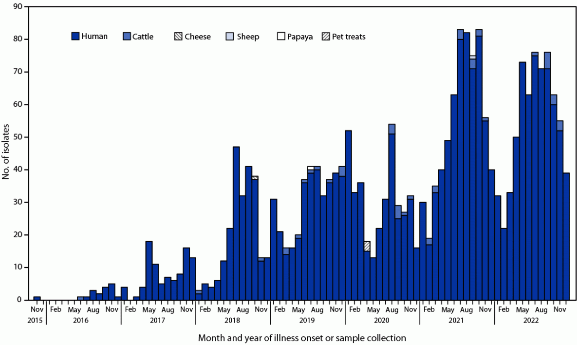A stacked bar chart of monthly isolates of the strain from November 2015 to December 2022, mostly from humans with small numbers from cattle, cheese, sheep, papaya and pet treats; counts climb from a few a month in 2016 to peaks above 80 a month in 2021 and around 75 in 2022