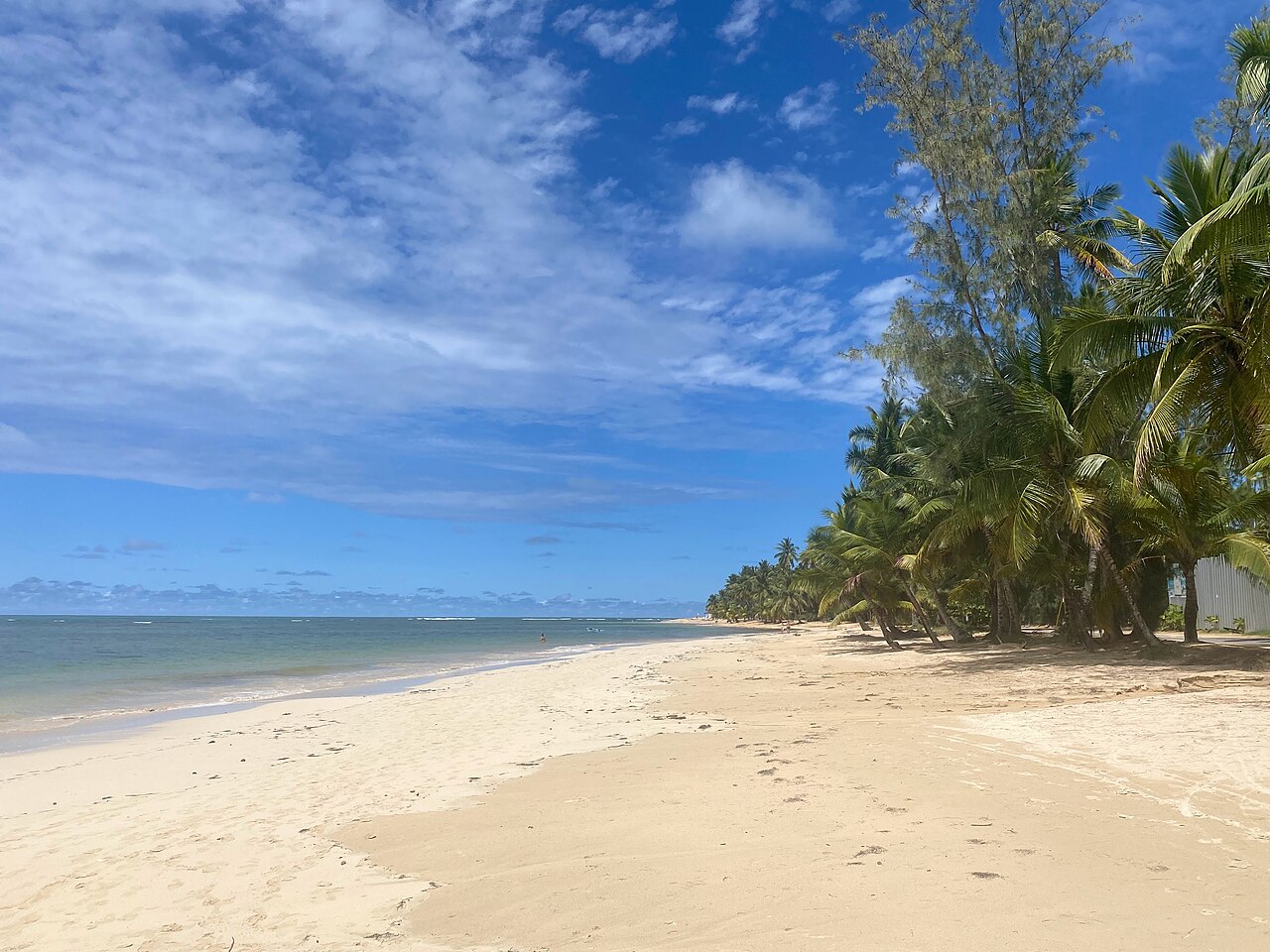 Playa Las Ballenas