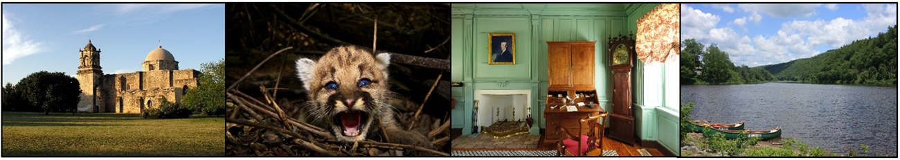 Four photos: a Spanish mission, a mountain lion cub, a desk in a historic home, and canoes by a river